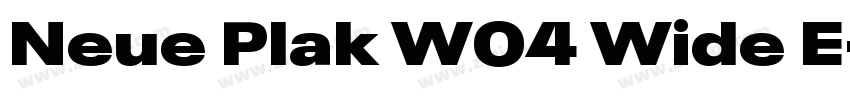 Neue Plak W04 Wide E字体转换
